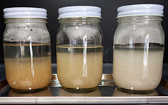 オゾンラボ130/製紙原料(パルプ)に対する脱色実験