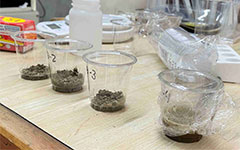 オゾンラボ152/土壌に残留する除草剤の分解除去技術