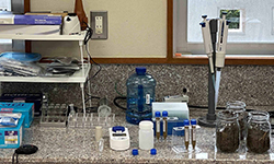 オゾンラボ179/農園土壌に堆積する化学肥料(亜硝酸態窒素)のオゾン分解